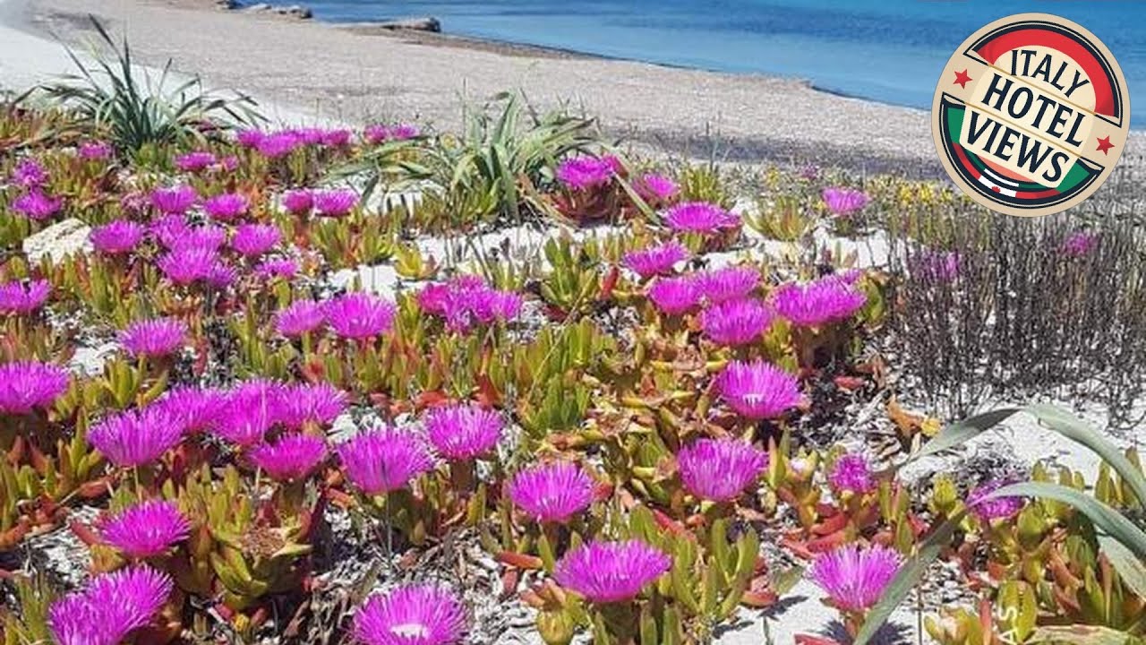 MONOLOCALE YELLOW | Siniscola, Italy | Hotel Review 🛏️