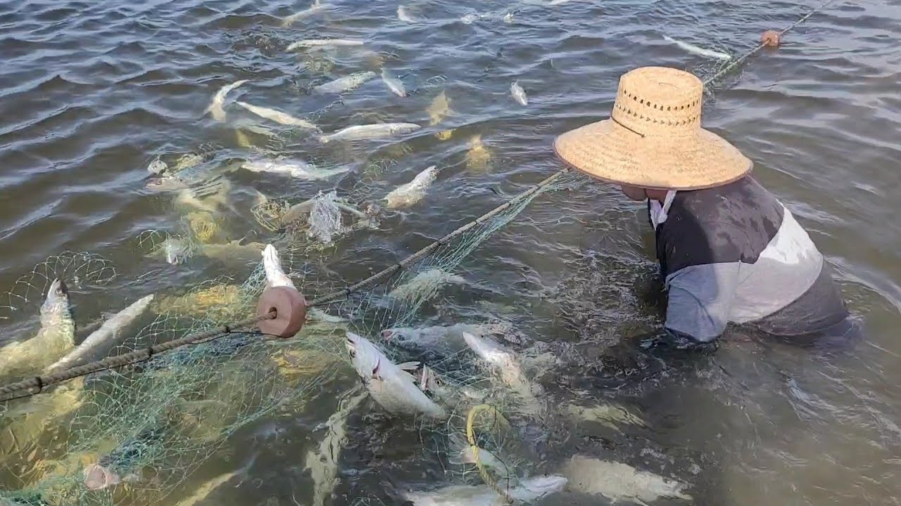 Gran pesca de Corvinas 