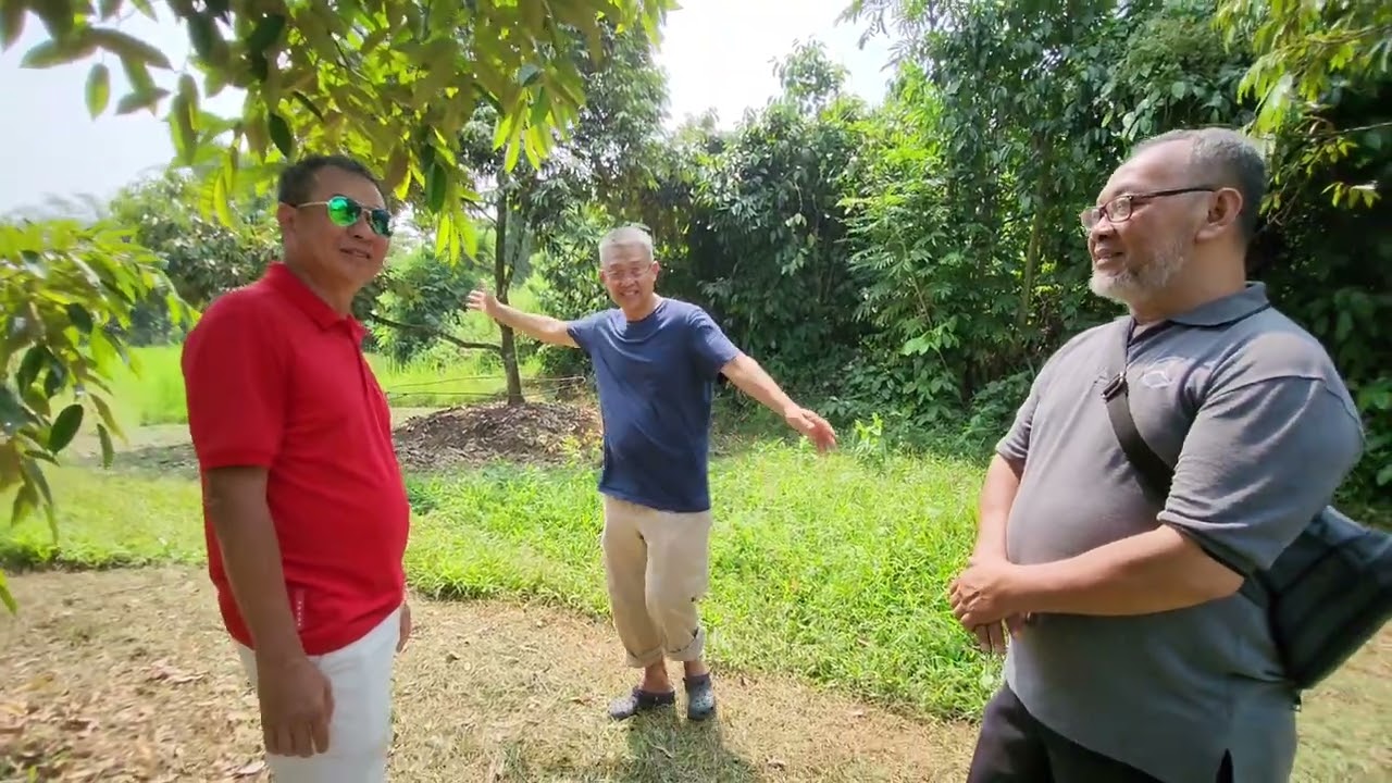 DURIAN TALK DI SUMITANI 2 PART 1 BERSAMA PAK MULYANA AHMAD DAN PAK HAR