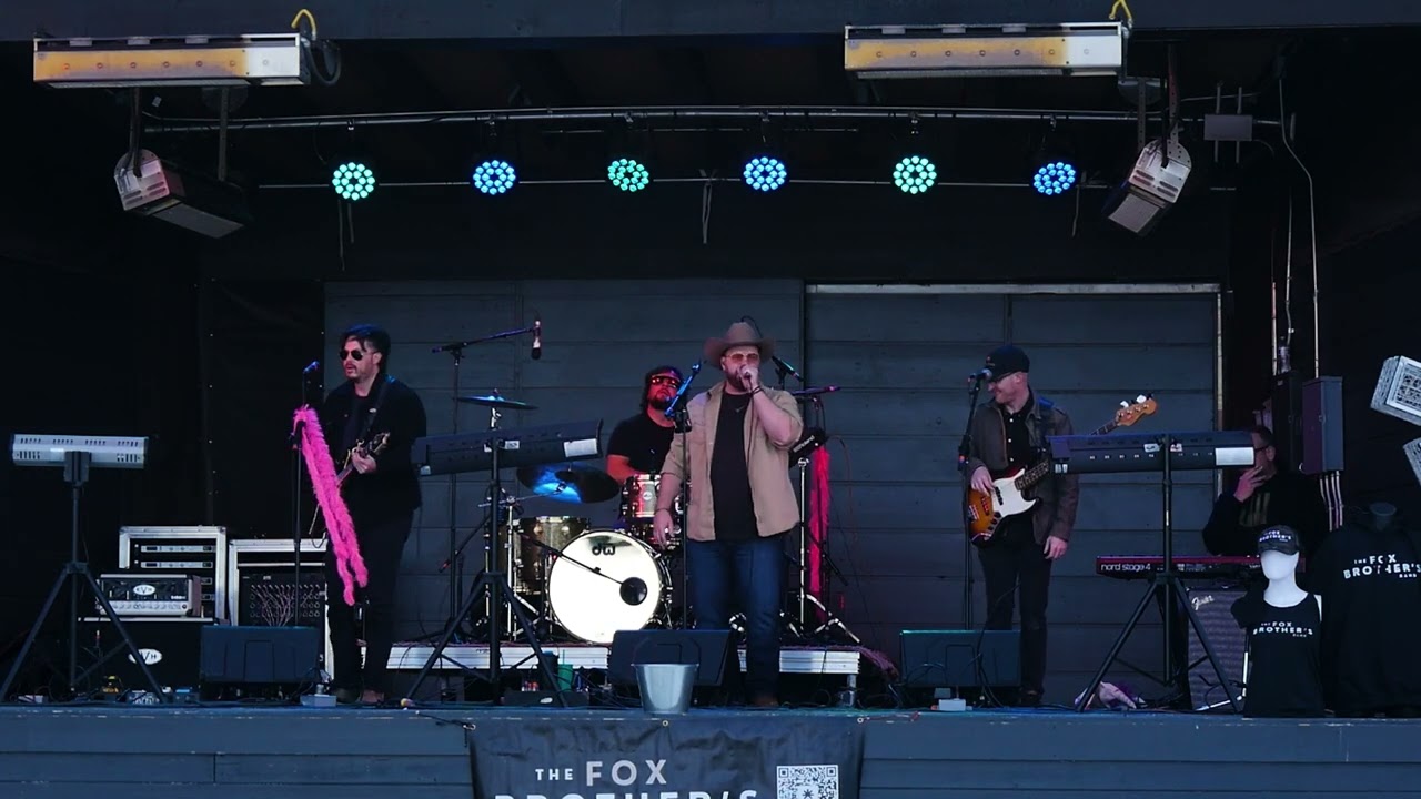Beer Never Broke My Heart (Cover)  #beer #lukecombs #country #countryrock