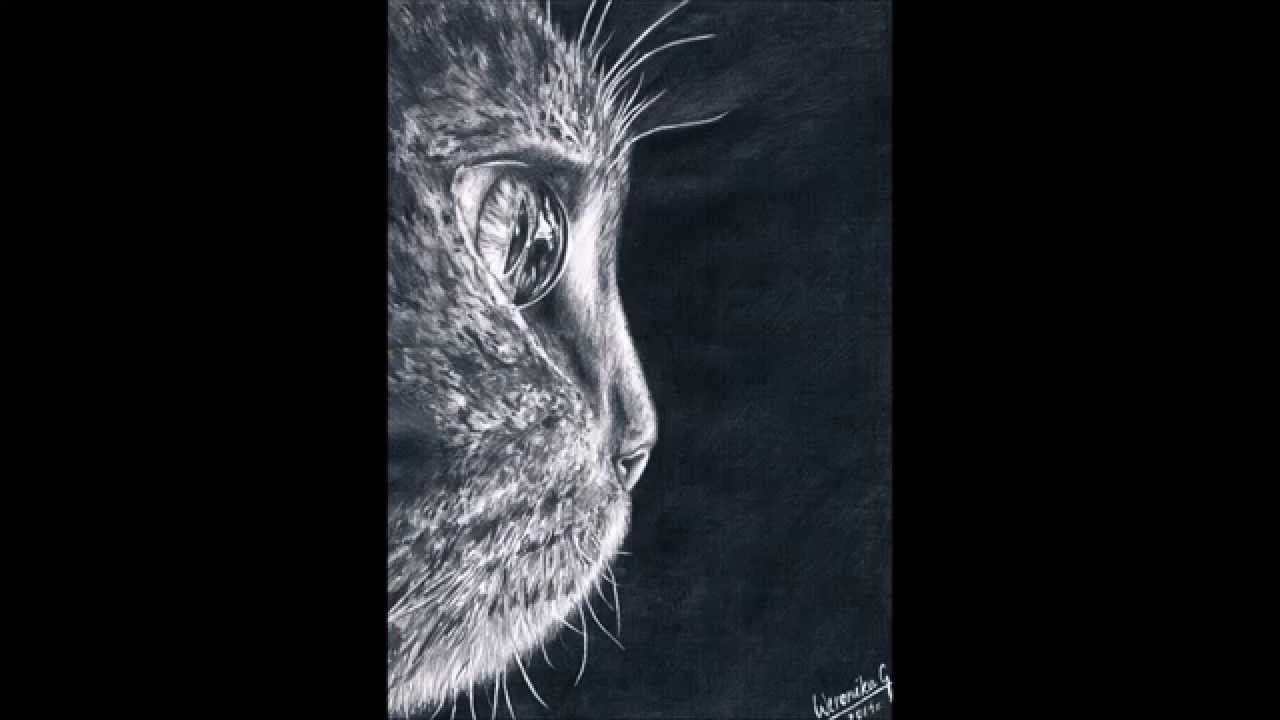Time Lapse Drawing by Weronika G Koteł