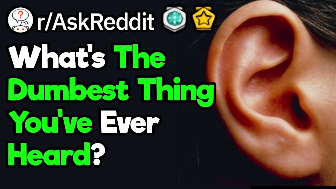 What's The Stupidest Thing You've Ever Heard?