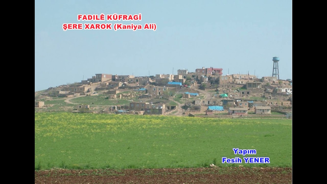 FADILÊ KÜFRAGİ - ŞERE XAROK (Kaniya Ali)
