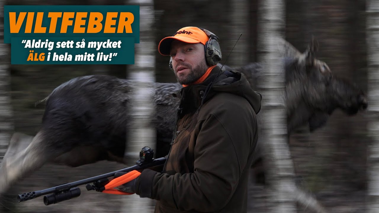 Drevjakt - Danne slår personbästa i viltobs!