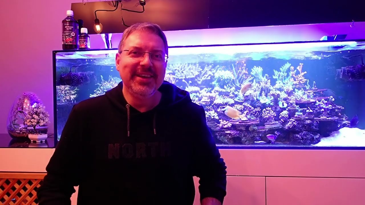 Aminoasit ve Vitamin Katkısı Ne kullanıyorum.