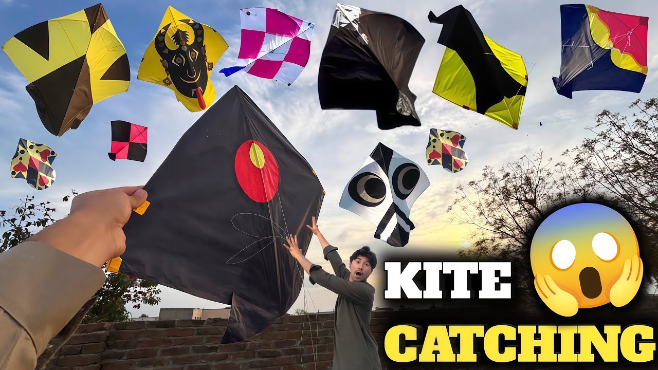 Big kite 2.5 Tawa i boo ho giya🥵 || Etni sari plastic kites loot lin😍|| Live kite looting😱 ||Kites🪁