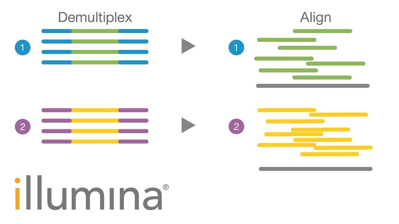 Insights into Index Hopping | Illumina Webinar