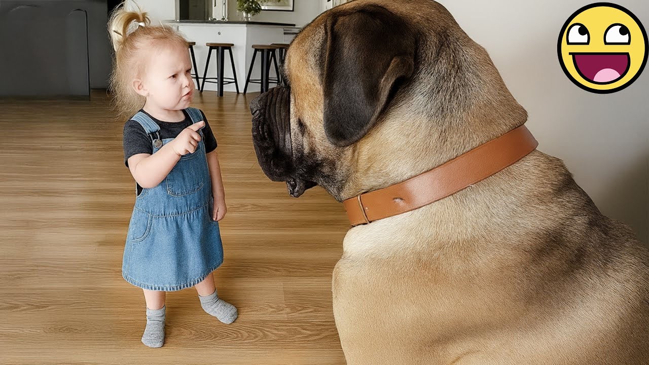 Когда очаровательный малыш мило «поболтает» с огромной собакой 🐶