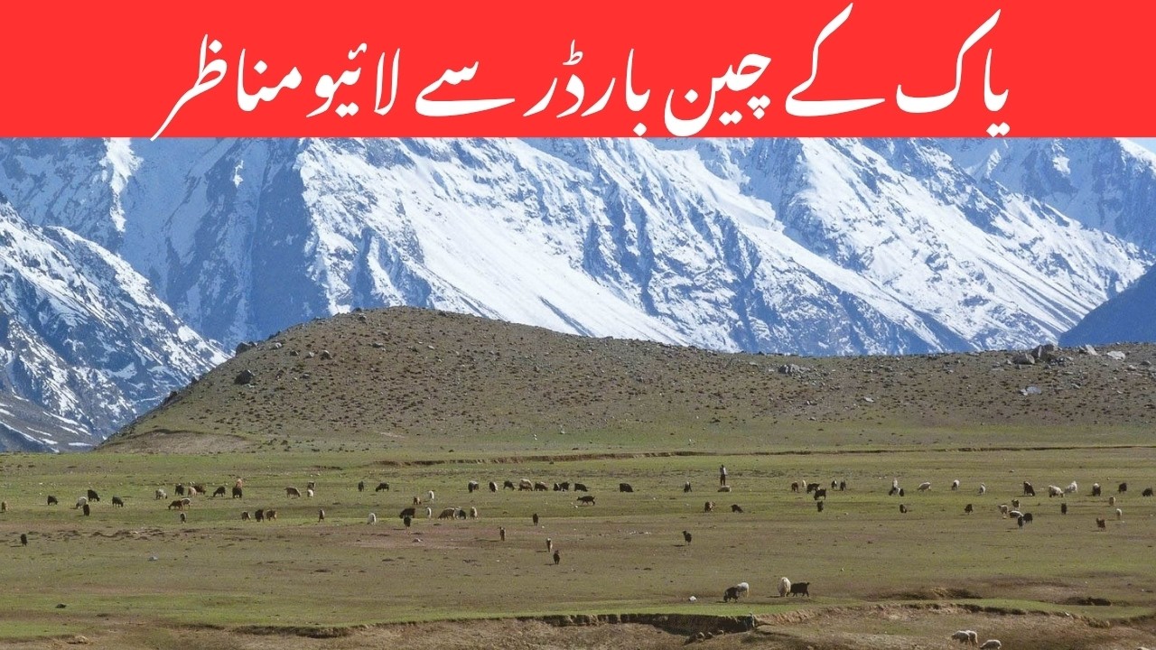 I Drove the 8th Wonder of the World! 🇵🇰 Karakoram Highway: Babusar Top to China Border