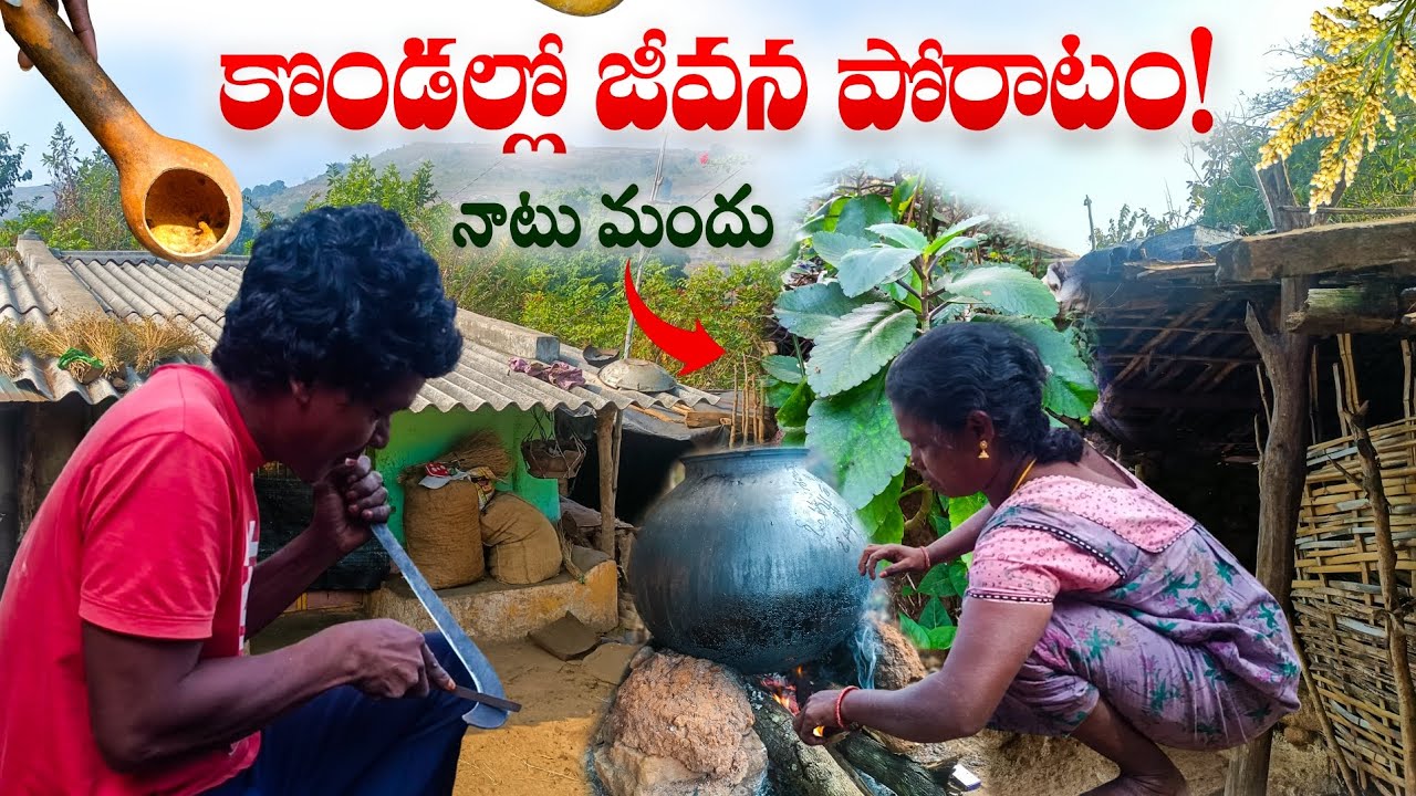 కొండలపైన జాతాపు గిరిజనుల జీవన యానం | The Story of Hill Tribe Life in Manyam | Aadivasi| #triballife