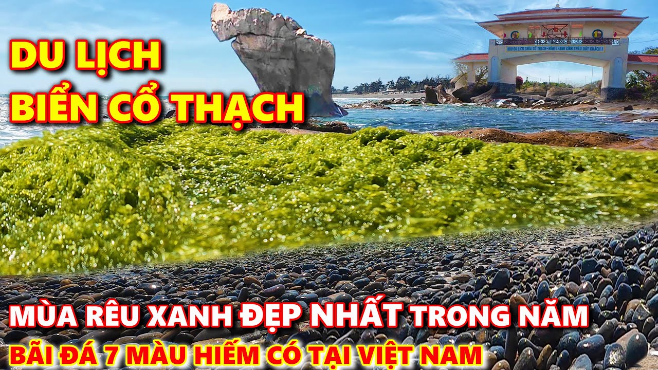 Biển Cổ Thạch Bình Thuận: Bãi Đá 7 Màu Hiếm Có Tại Việt Nam - Mùa Rêu Xanh Đẹp Nhất Trong Năm
