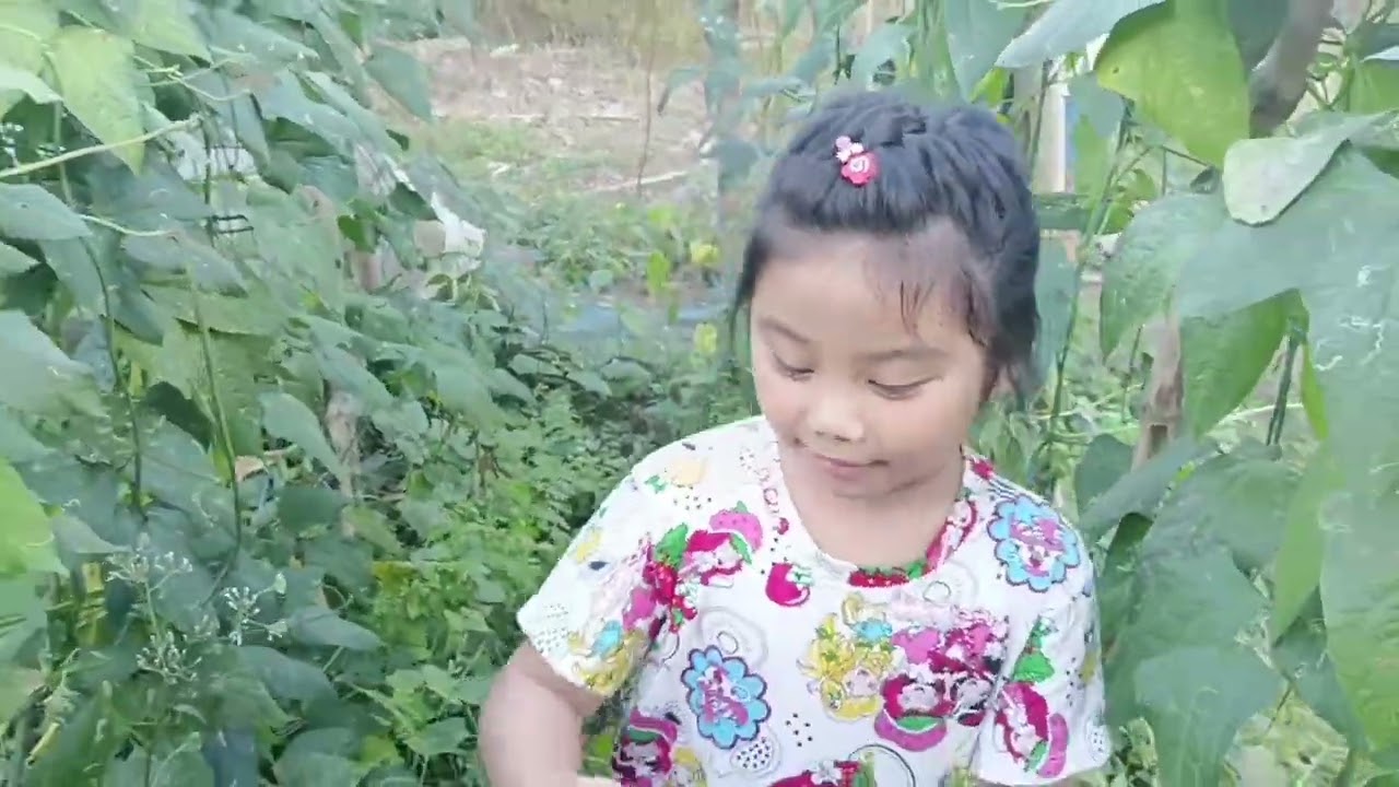Life in the Province || Harvesting veggies!