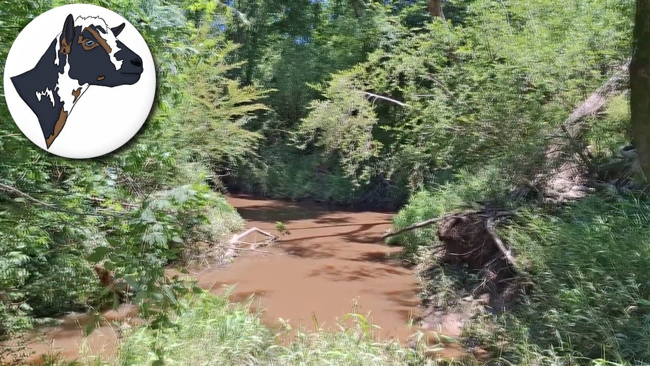 Iron Creek