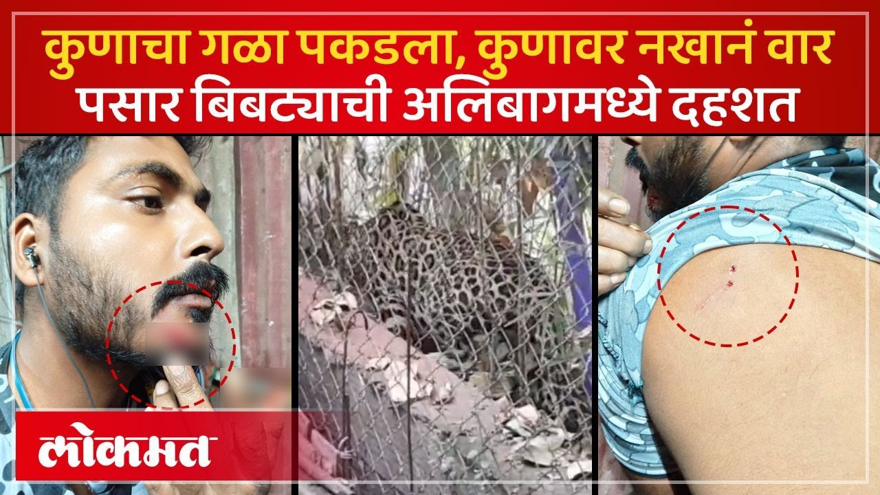 Alibaug Leopard Attack News : ८ जणांना जखमी करुन बिबट्या पुन्हा पसार, गावात दहशत, कसा केला हल्ला?AC3