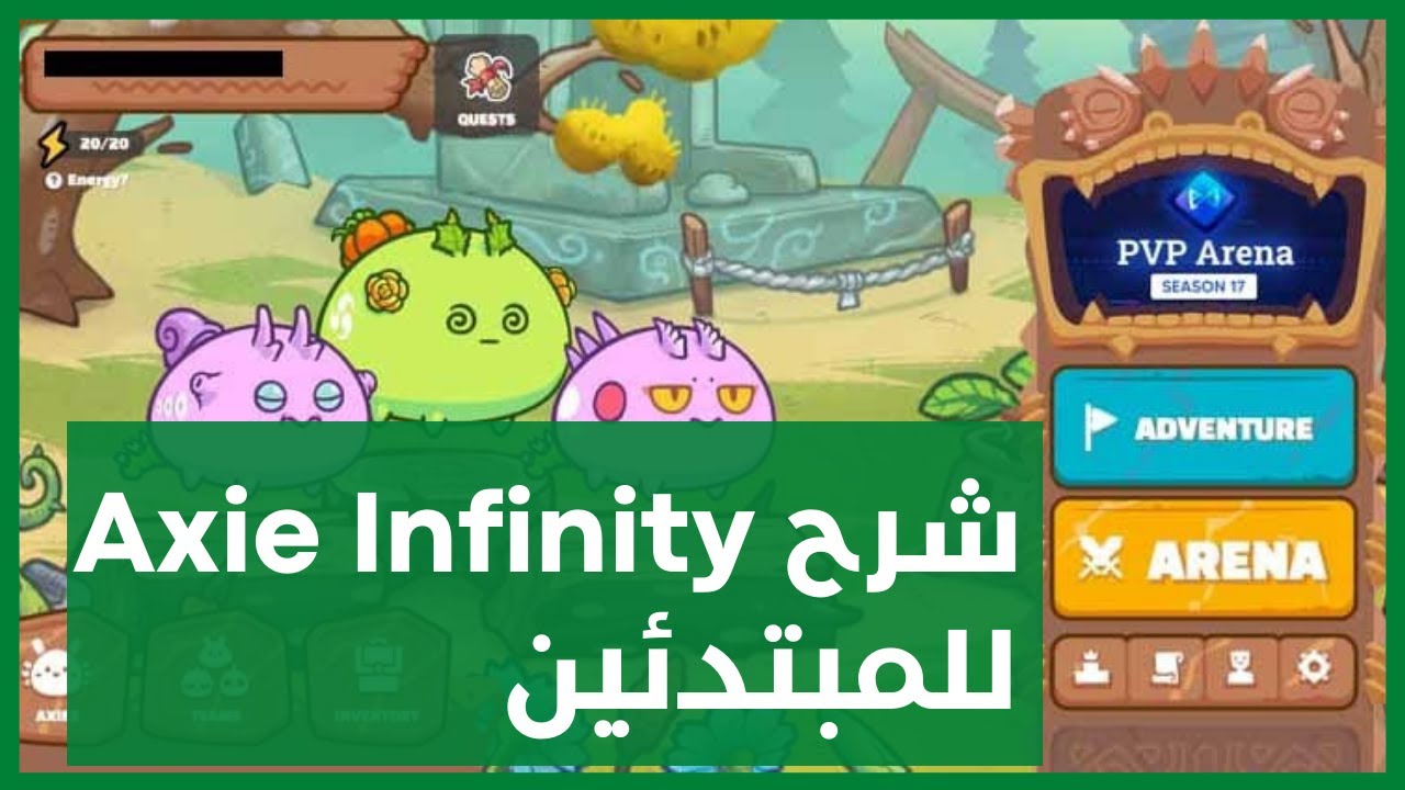شرح واجهة اللعبة و طريقة لعب axie infninty و تفاصيل الحساب | Axie Infinity