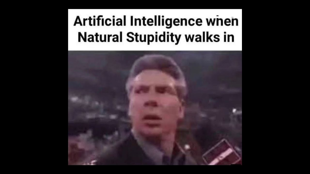 Artficial intelligence VS Natural Stupidity