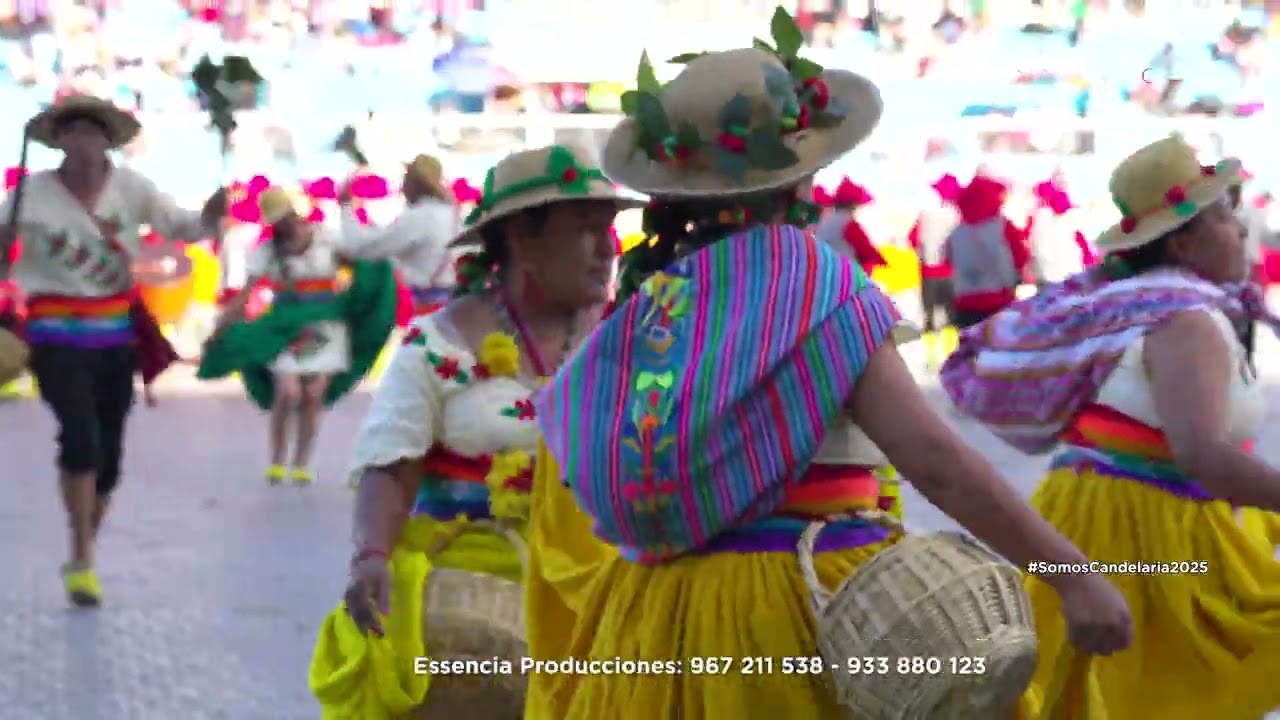 Café Pallay de las Yungas - San Juan del Oro | Danzas Originarias 2025 CANDELARIA 4K
