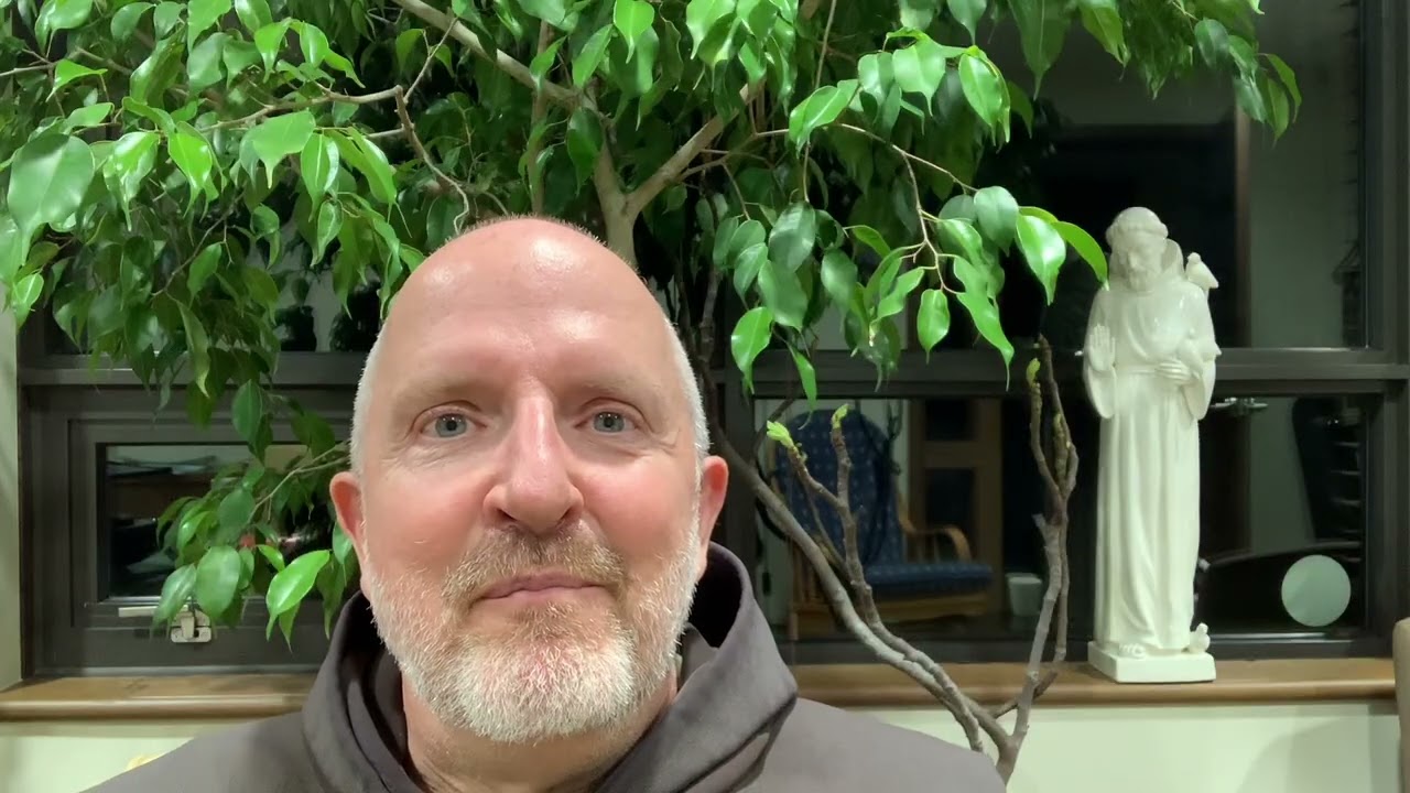 Dedication of the Lateran Basilica year c homily 