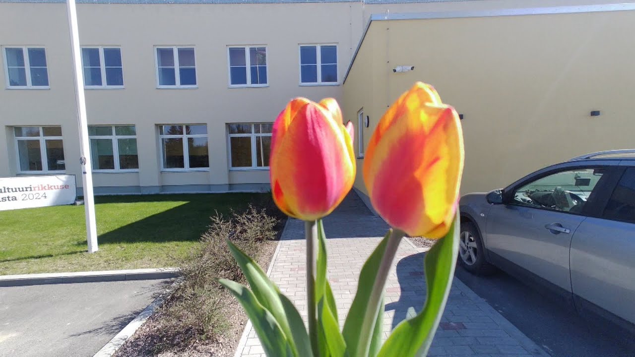 Kontsert 