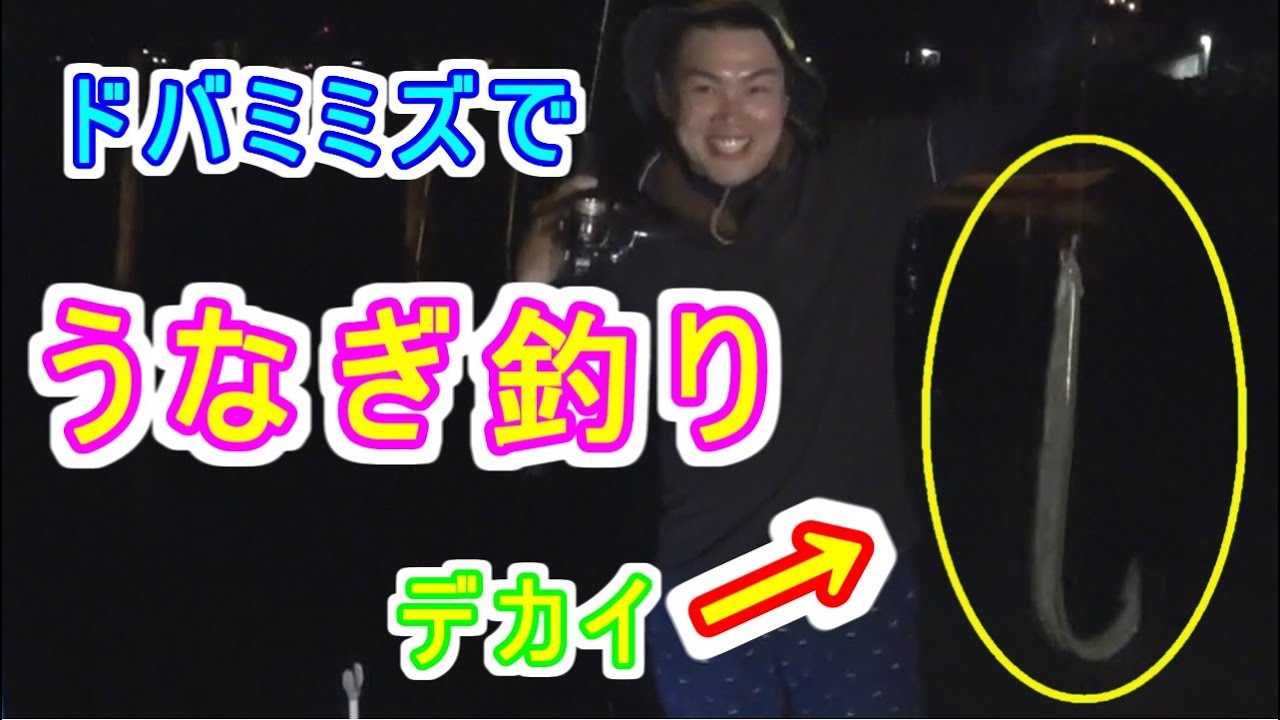ウナギ釣りリベンジ成功！！