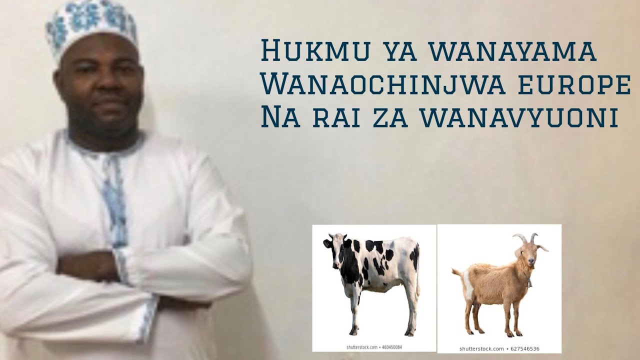 HUKMU YA WANAYAMA WANAOCHINJWA EUROPE NA RAI ZA WANAVYUONI