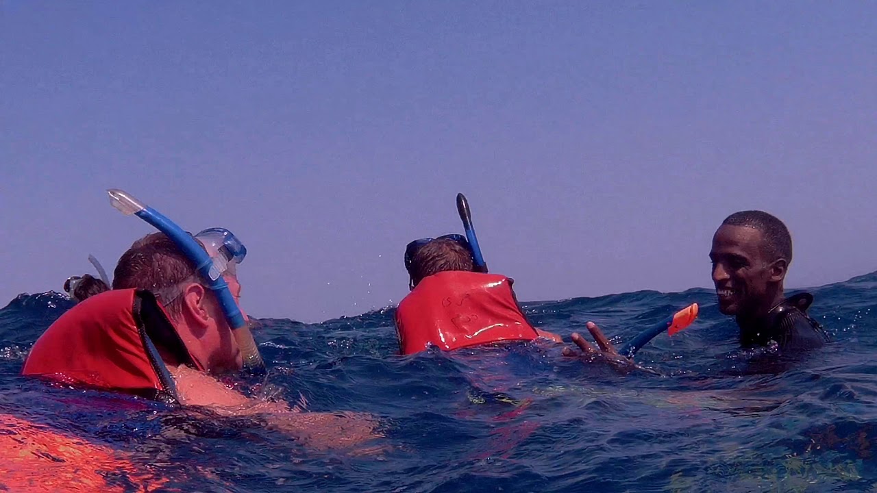 Dolphin House - Hurghada - Falcon adventures