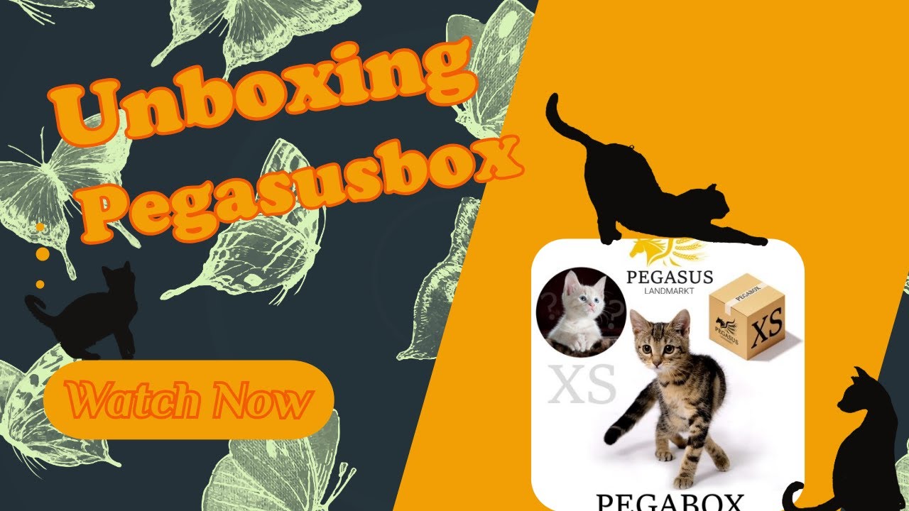 Unboxing! I 🐈Pegasusbox🐈 I was da wohl drin??