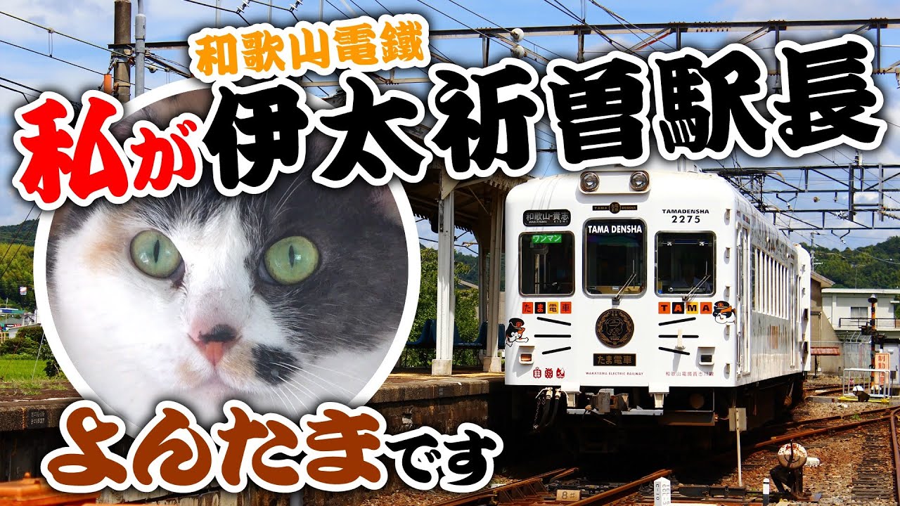 【和歌山電鐵】伊太祈曽駅長『よんたま』さんに会いに行こう！