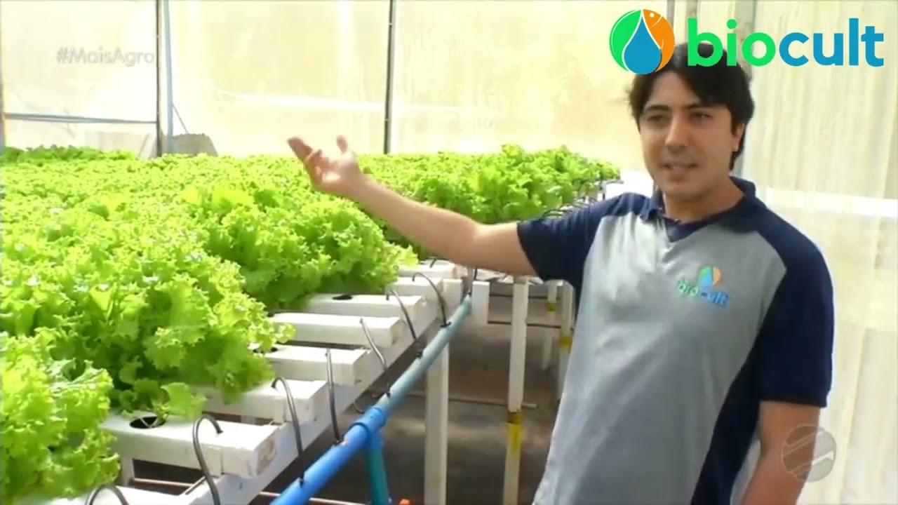 Aquaponia: uma alternativa sustentável - Giro Agro 360 (+Agro MT) - BIOCULT