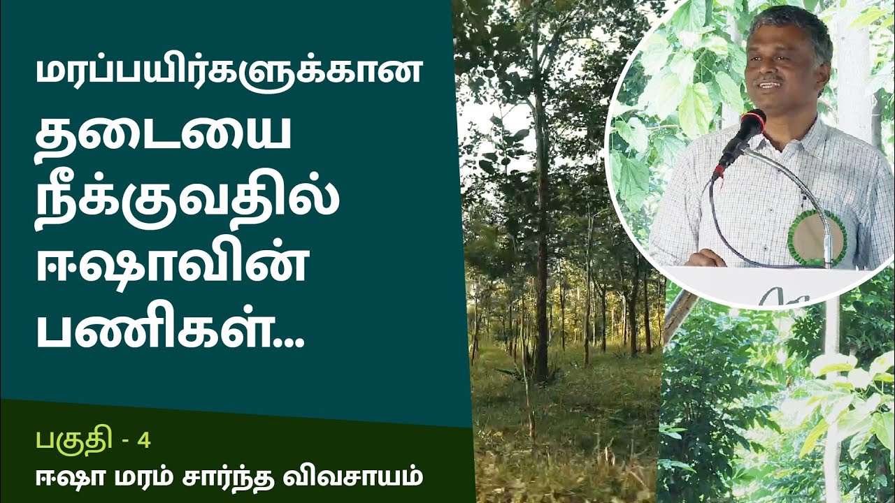 டிம்பர் மரங்களை வியாபாரம் செய்வதில் விவசாயிகளுக்காக பணியாற்றும் ஈஷா குழுவினர்!