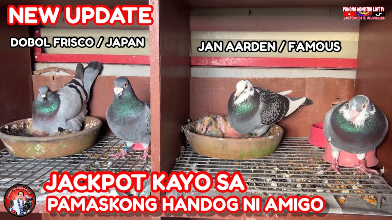 EP1191 JACKPOT KAYO SA MGA IPAPAMIGAY NI AMIGO!
