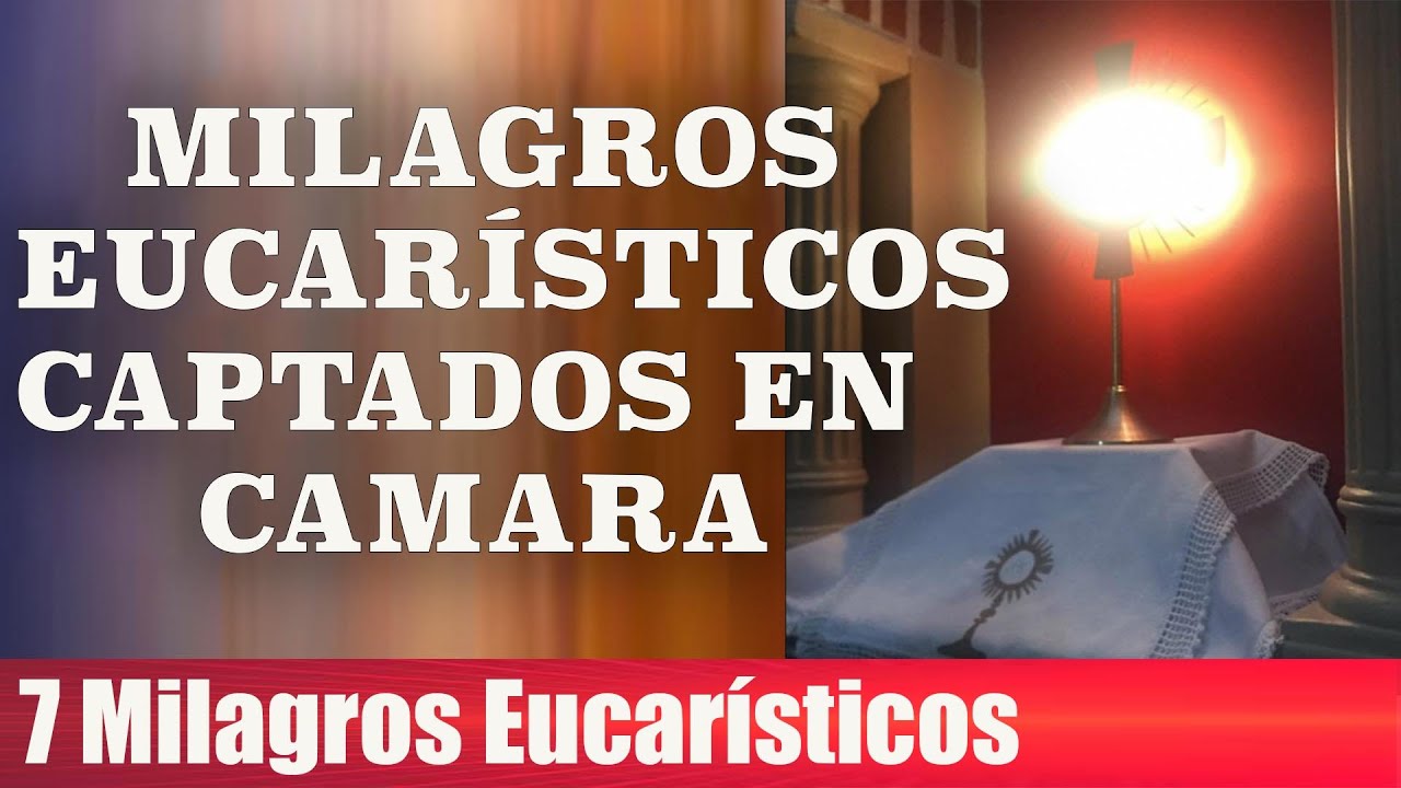 7 MILAGROS EUCARÍSTICOS CAPTADOS EN CAMARA