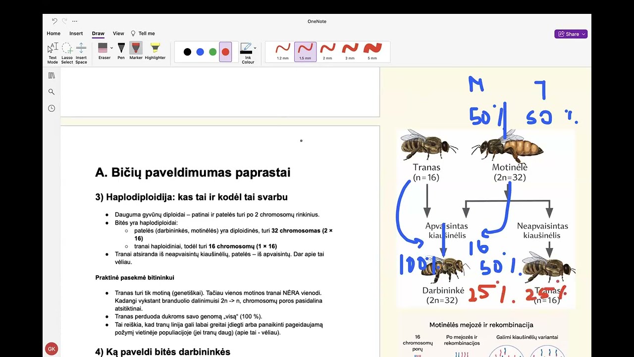 2026.02.05. Kaip paveldimumas lemia šeimos stiprumą ir produktyvumą