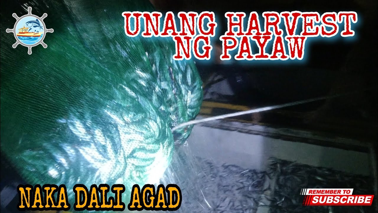 unang harvest sa payaw 2022