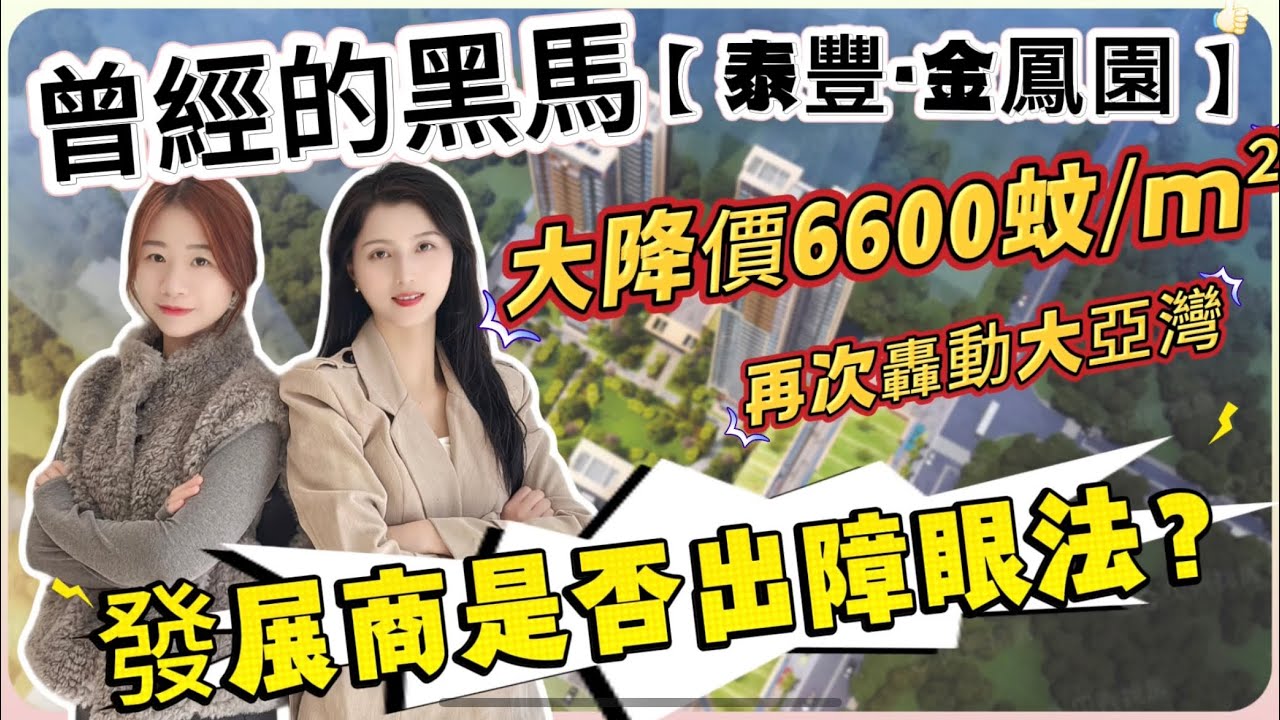 舊年買嘅絕對肉赤荷包！曾經的黑馬【泰豐·金鳳園】大降價6600蚊/m² 再次轟動大亞灣｜是否障眼法？#惠州 #惠州樓盤 #大灣區 #大灣區樓盤 #港人退休#深圳樓盤 #臨深樓盤 #港人置業 