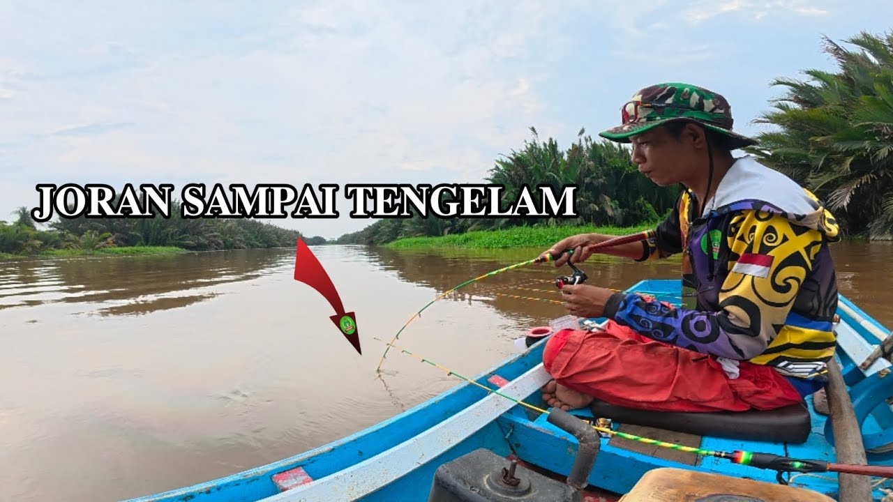 TERPAKSA MANCING UDANG GALAH DI SUNGAI YANG BANYAK DI HUNI PREDATOR NYA