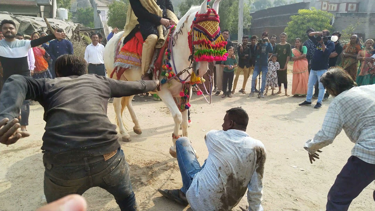 Lala Vada Rajavan Ghodi | Uttar Gujarat ni Prakhyat | Daru Pidho re | #rajvanghodi #ghodi #darupidho