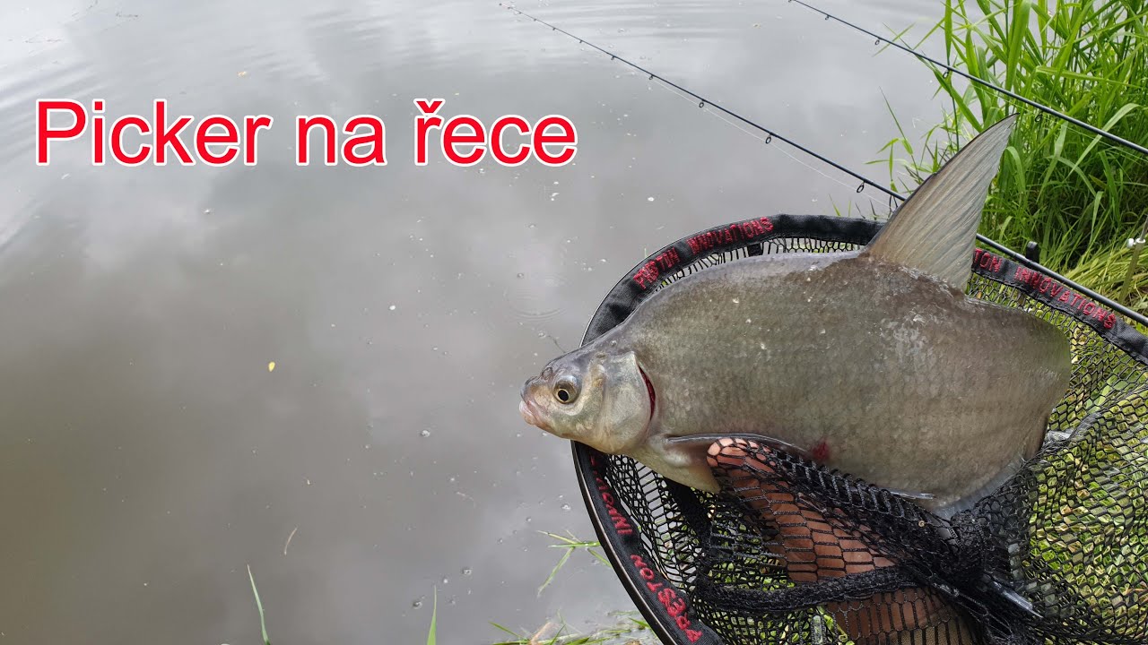 S pickerem na řece
