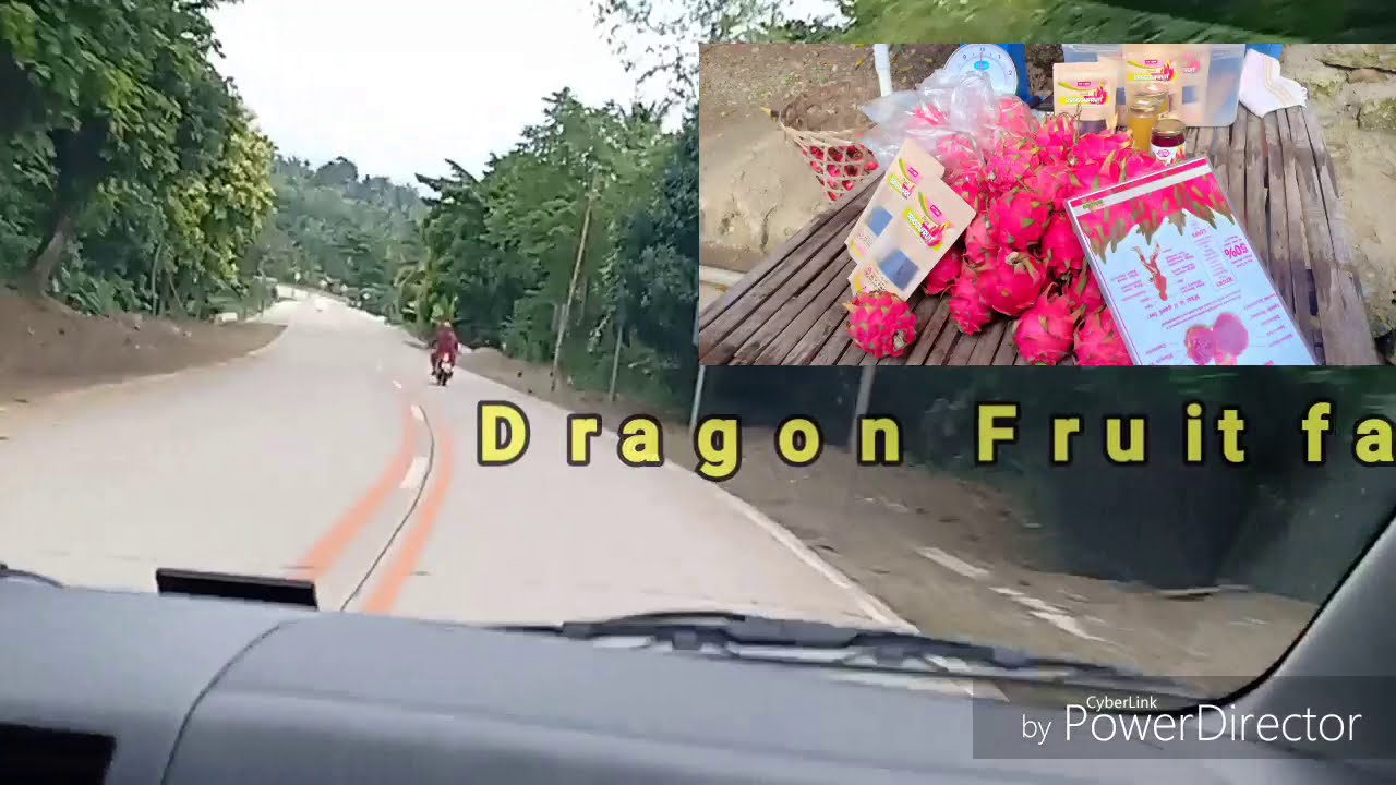 Road Guide Tablas island,Romblon(section)
