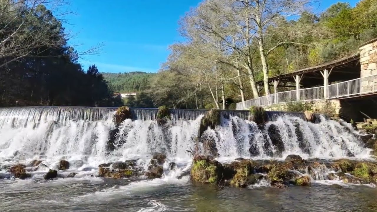 Cerva - Ribeira de Pena