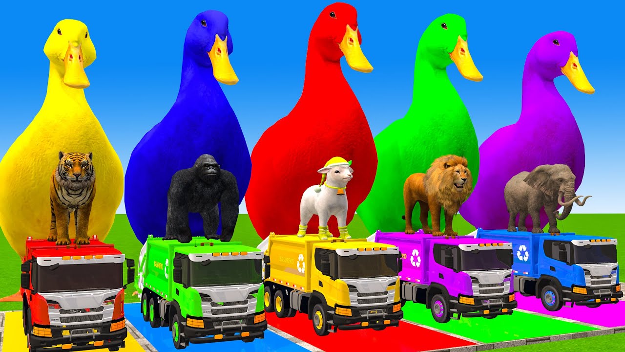 5 Giant Duck Cartoon,Cow,Elephant,Tiger,Lion,Dinosaur,Paint Wild Animals Crossing Fountain Animation