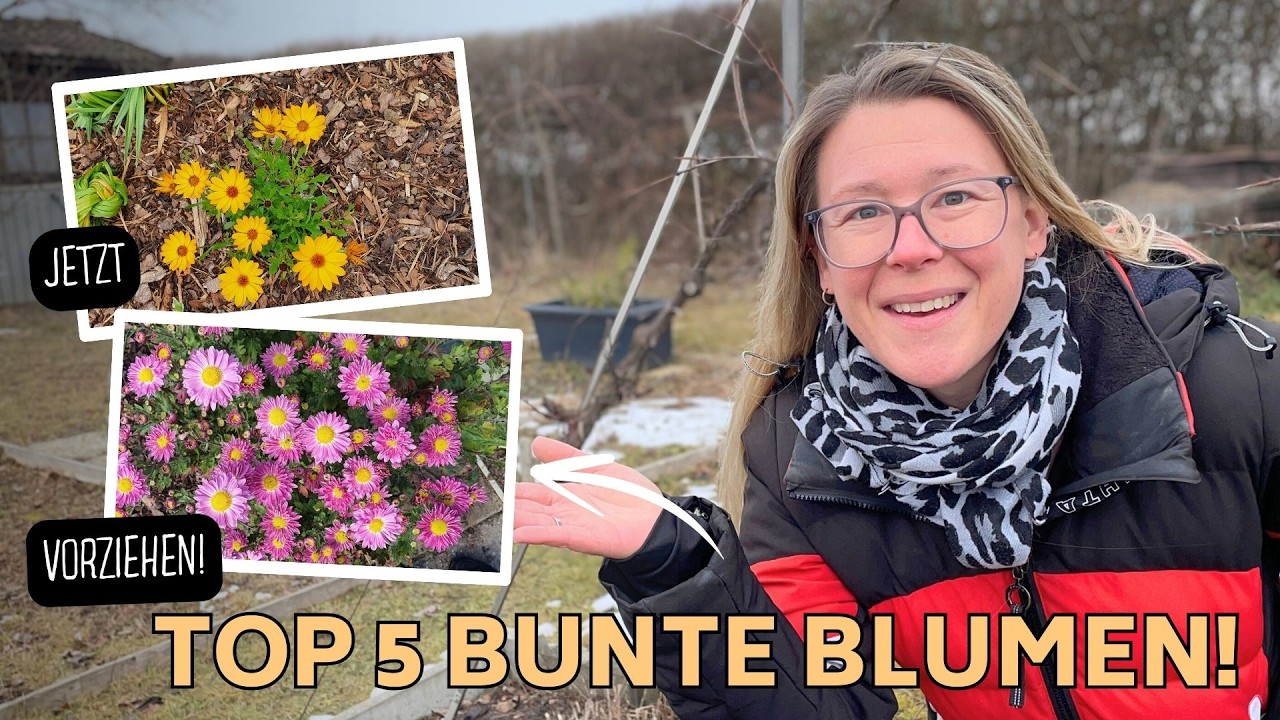 Meine Top 5 bunten Sommerblumen 2026 – JETZT vorziehen & den ganzen Sommer Farbe haben! 🌻🐝