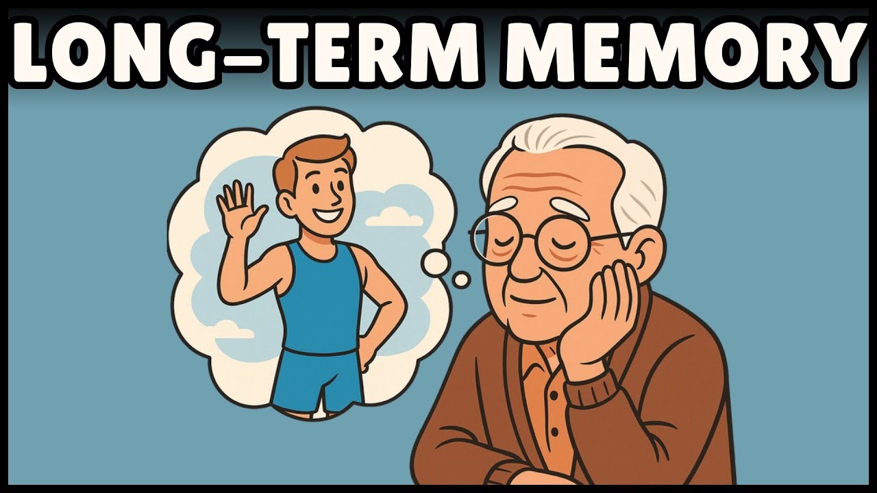 Long Term Memory (Definition & Easiest Explanation)