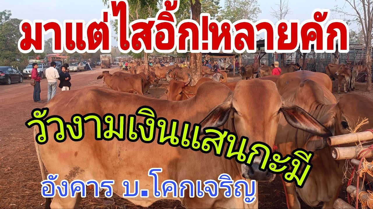 3 มีนาคม ค.ศ. 2026