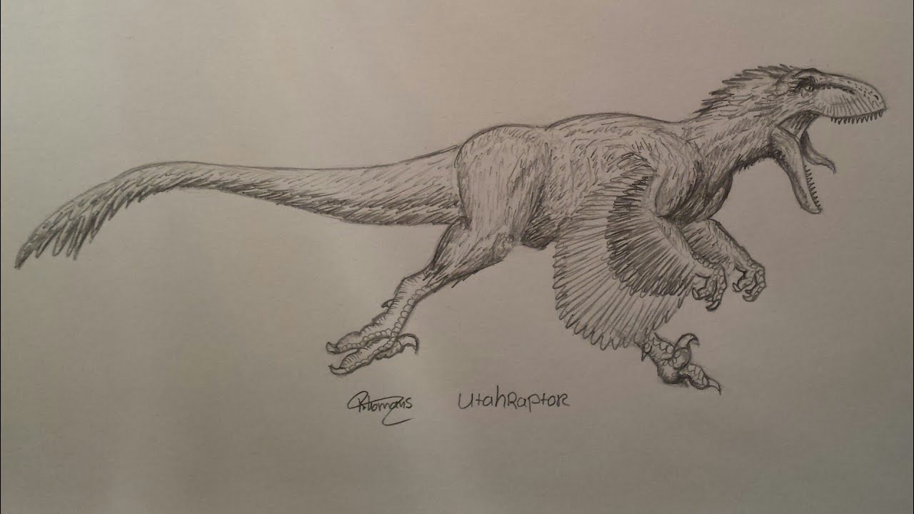 How to draw Utahraptor part 1