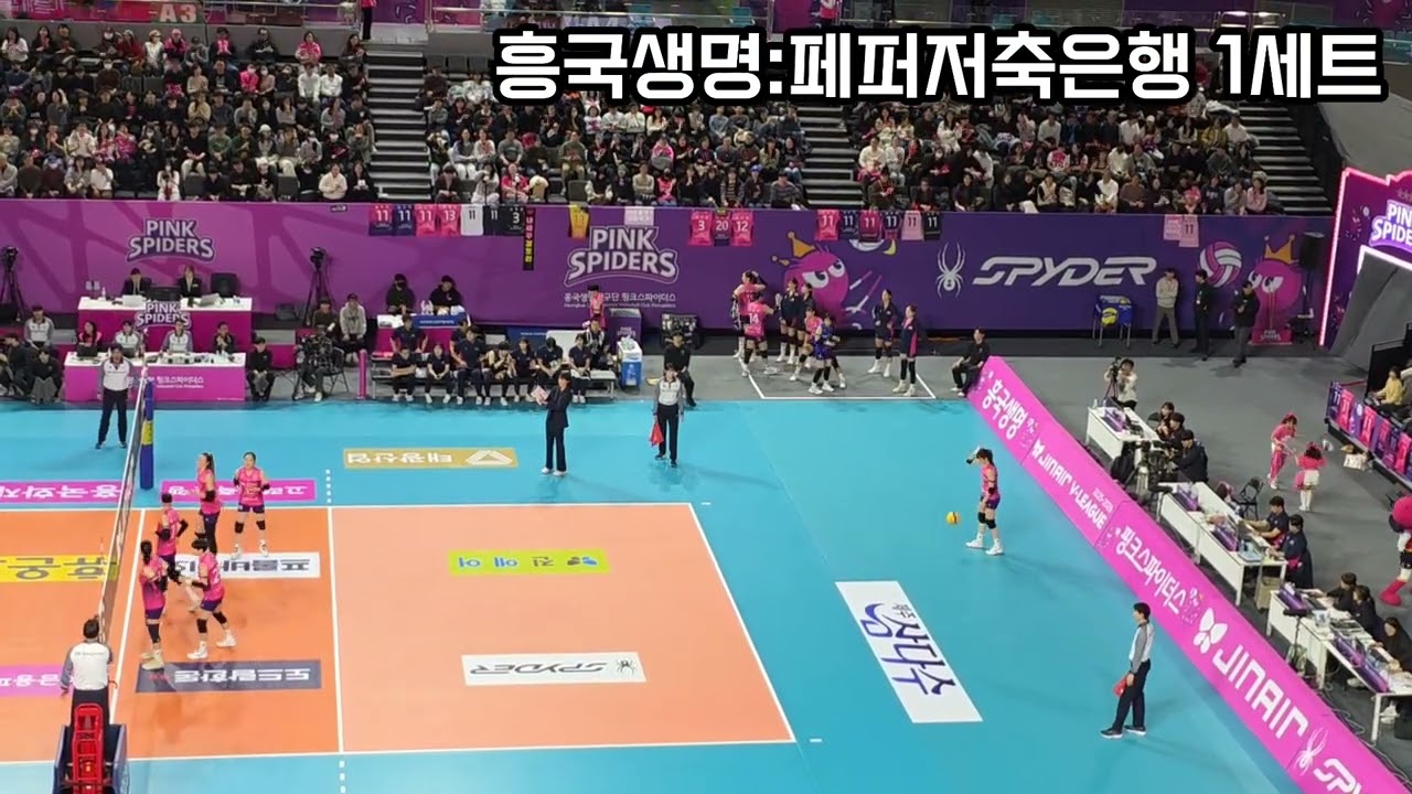 #흥국생명핑크스파이더스
