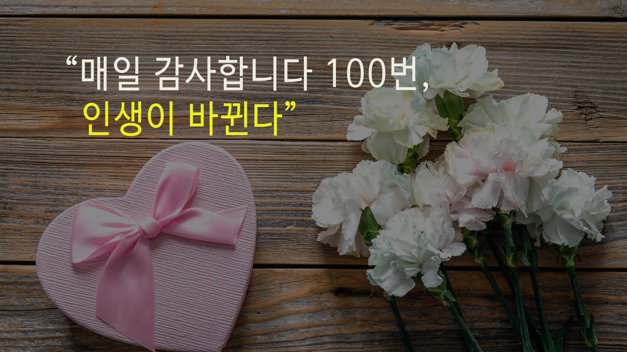 아침긍정확언338일째! 매일 감사합니다를 100번 외치면 놀라운 변화가 생긴다.