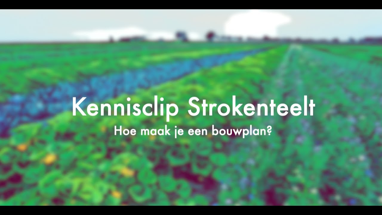 Kennisclip strokenteelt : hoe maak je een bouwplan?