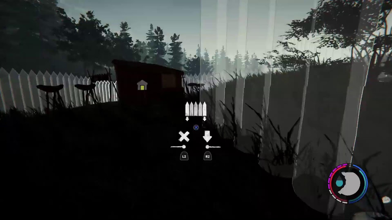 The Forest