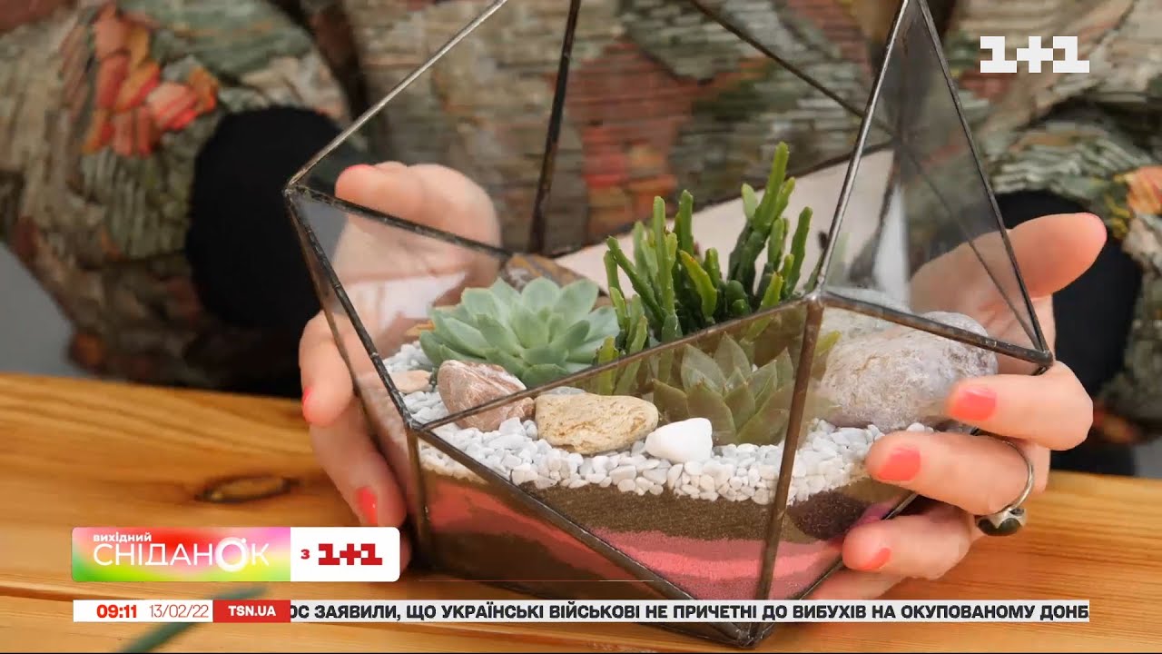 Как создать флорариум собственноручно